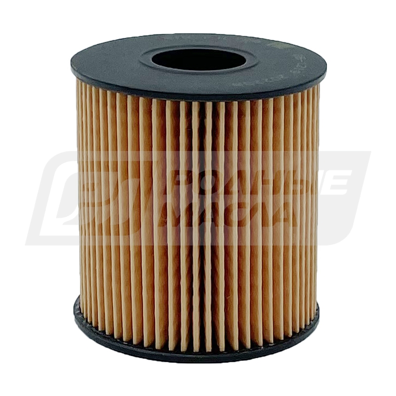 BIG FILTER GB-1219 (OE673, HU71151X, Citroen/Peugeot 1109AH) GB1219