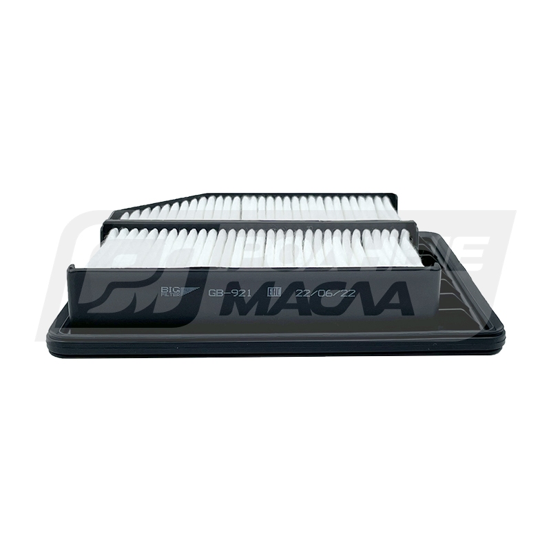 BIG FILTER GB-921 (A886, Honda 172202MBY00, 17220RNA000) GB921