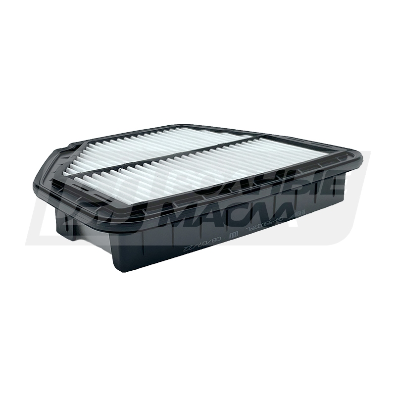 BIG FILTER GB-95037PL (C30012, LX3298, AP109/5, GM 22745824) GB95037PL